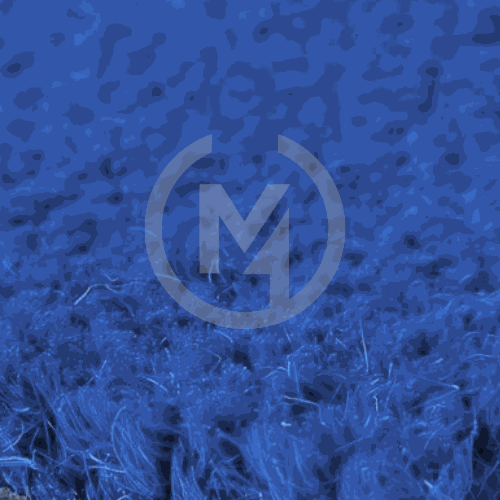 Premium Blue Coir Doormat Close Up
