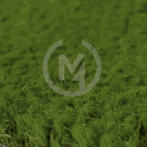 Premium Green Coir Doormat Close up