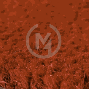 Premium Rust Coir Doormat Close up