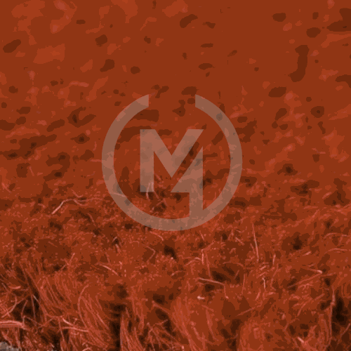 Premium Rust Coir Doormat Close up
