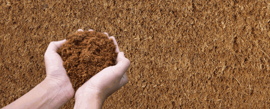 Everything you need to know about coir mats: Your ultimate guide