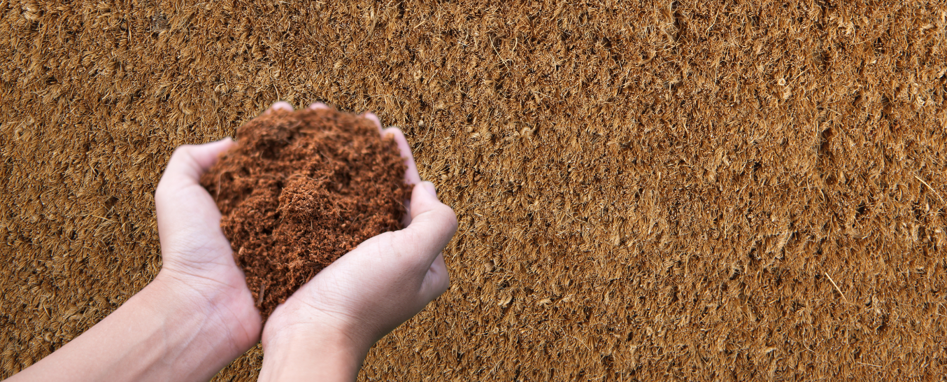 Everything you need to know about coir mats: Your ultimate guide