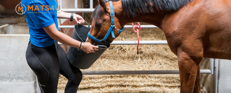 horse stall mats