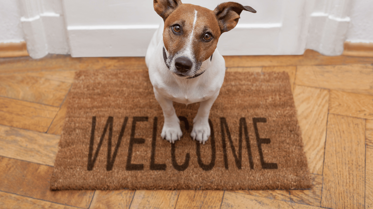 Coir Logo Mat
