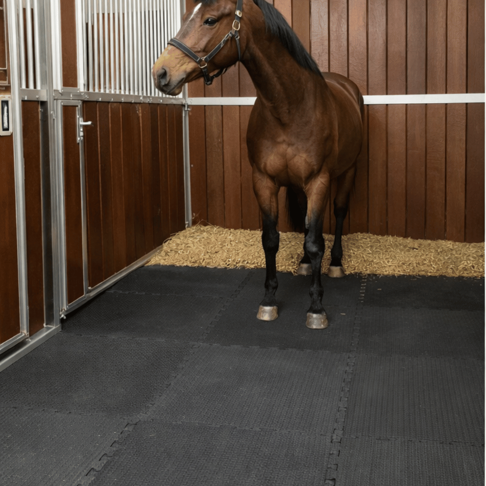 EVA Foam Puzzled Edged Linkable Stable Mats used in a horse stable