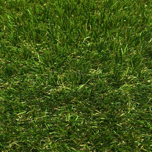 Garden Grass 35mm