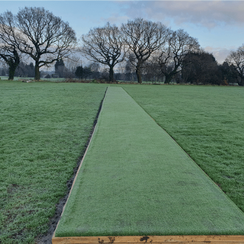 Super TeeTurf (Non Infill)