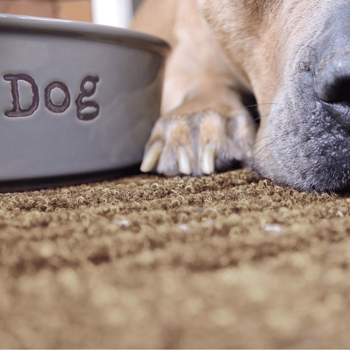 WaterHog Pet Bowl Mat